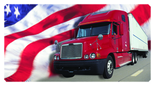 DSC700 333 FLAG Heading Home (Flag)